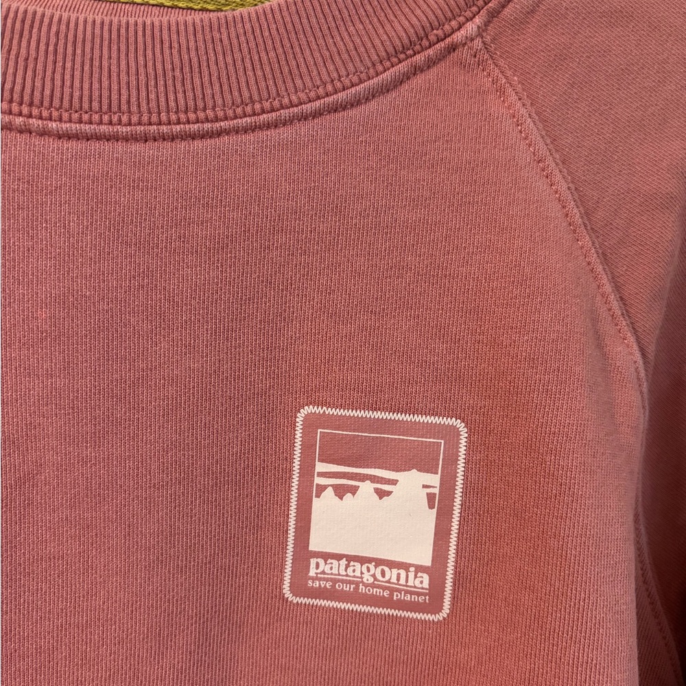 Patagonia Save Our Home Planet crewneck sweatshirt